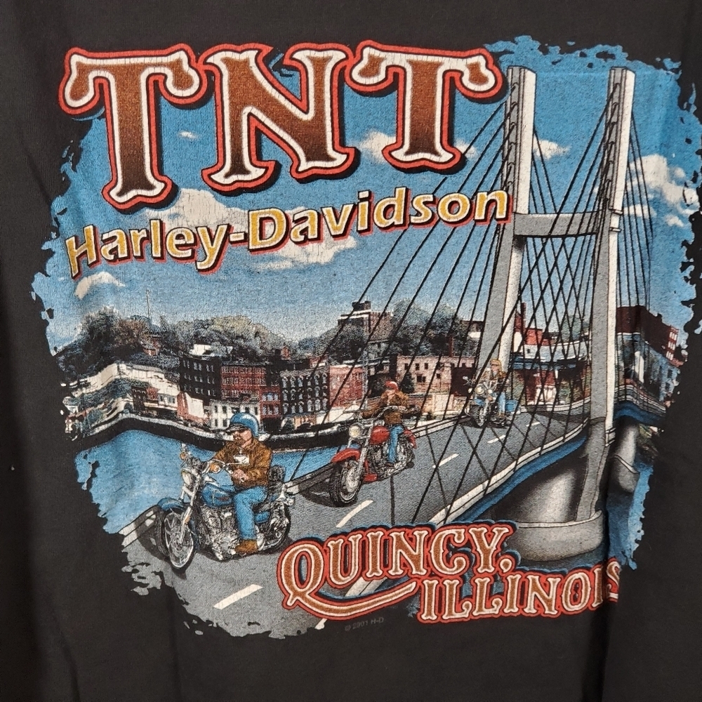 Harley Davidson Lone Rider - Picture 3 of 3